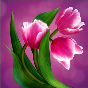 Vetro tulipano